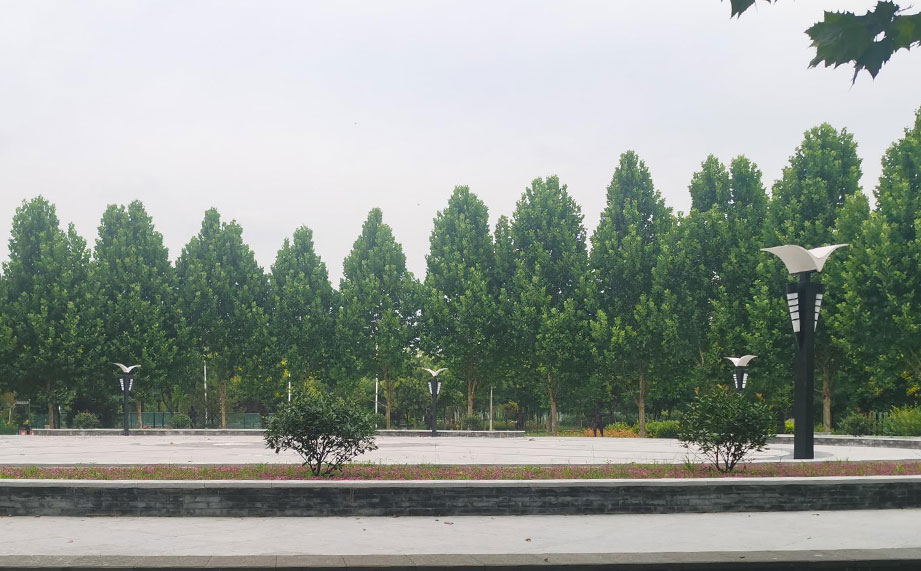 景觀燈，公園景觀燈.jpg